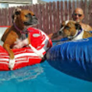 Meet your Posher, Marc